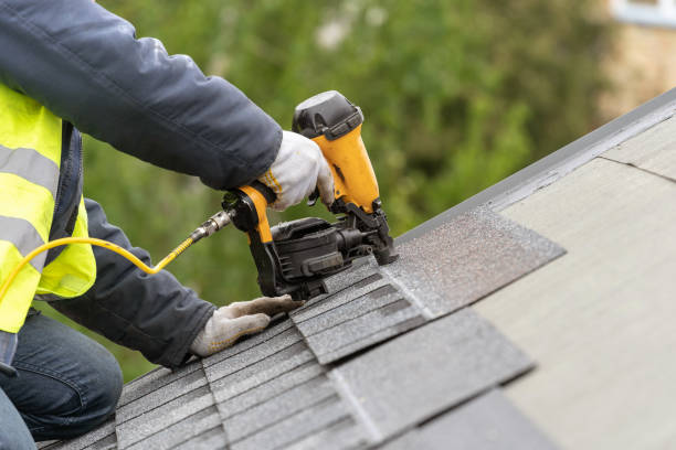 Best Roof Repair  in Fruitland, MD