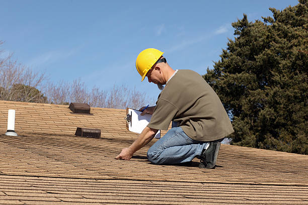 Best Roof Coating and Sealing  in Fruitland, MD